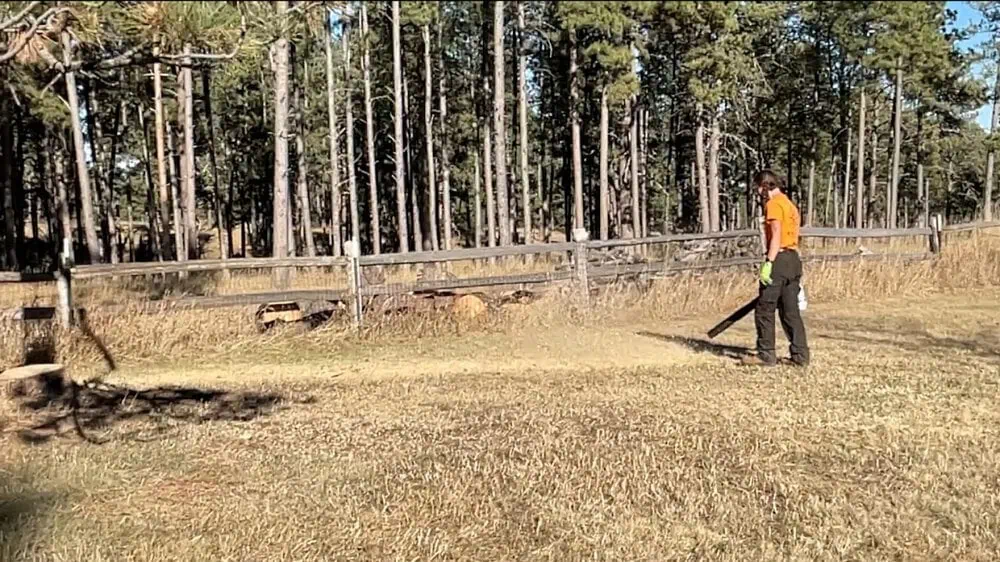 Canyon Falls Tree Works crew performing professional land clearing on a wooded lot in Rapid City, SD