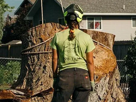 A person wearing a helmet and green t-shirt stands facing a large tree stump in a backyard setting.
