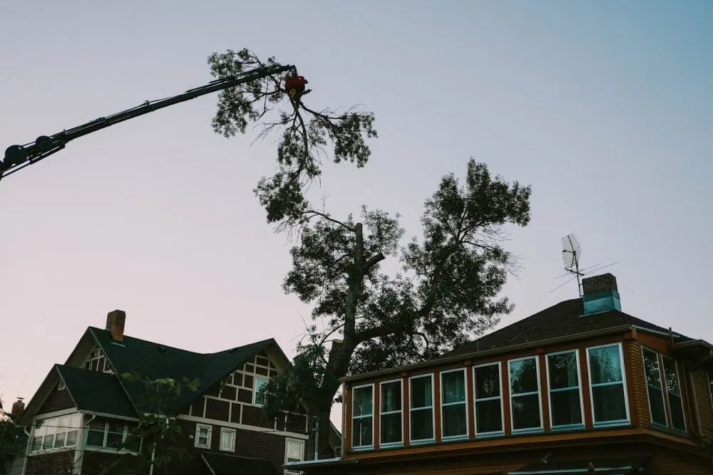 Canyon Falls Tree Works knuckleboom crane truck performing a zero-impact tree removal in a Rapid City, SD neighborhood
