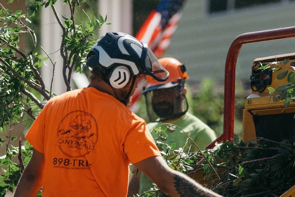 Canyon Falls Tree Works ISA certified arborist crew performing tree service in Blackhawk, SD